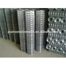 Anping Factory Hot Dipped Galvanized Welded Wire Mesh